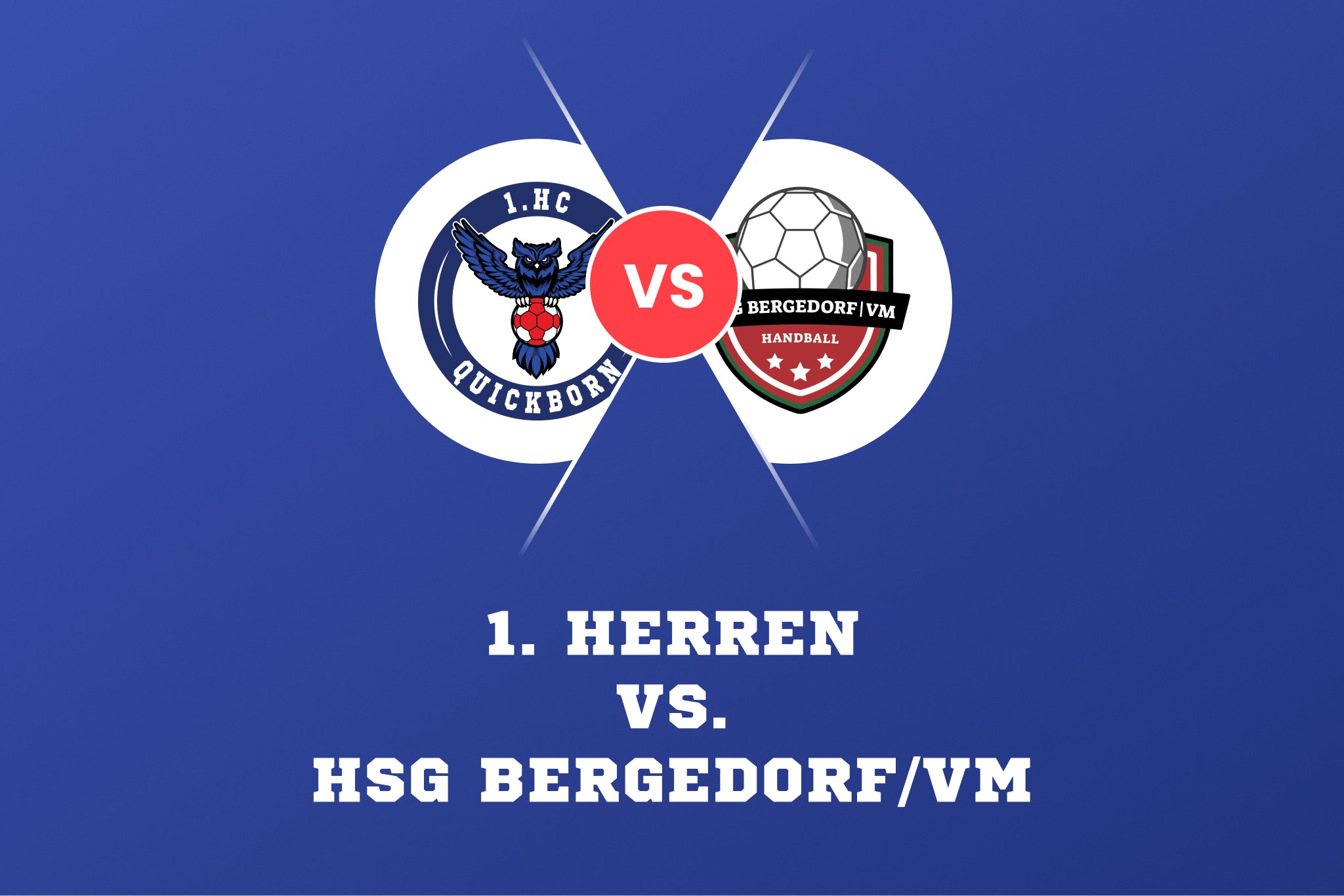 1. Herren vs. HSG Bergedorf/VM